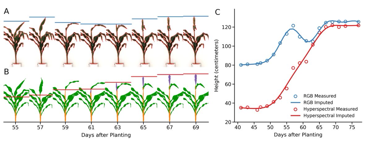 James Schnable tweet media