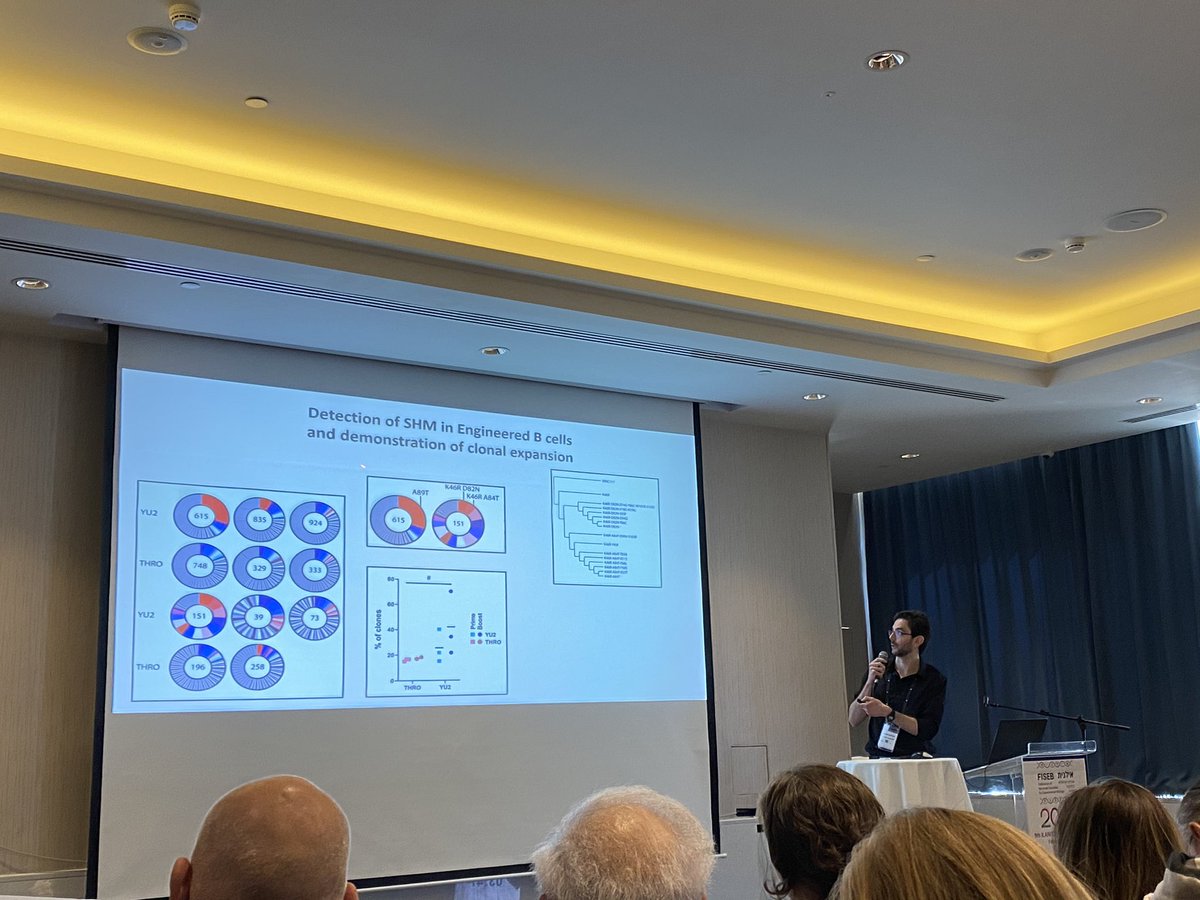 freund_lab's tweet photo. @alessionahmad gave an interesting talk today about engineered #HIV-1 #bNAb #Bcells here at #ILANIT2020 #FISEB2020 https://t.co/iCjQyctquI