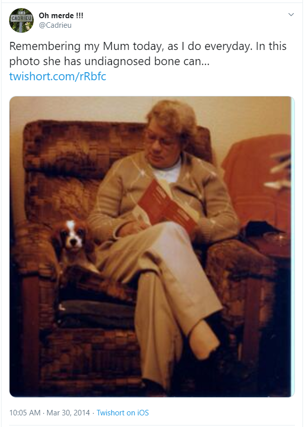 bob_fact's tweet photo. This picture was taken many years before she died.  She out-lasted that chair.  She moved house.  She outlived that dog and had another for several years before the cancer returned. https://t.co/ydzaVmArq6