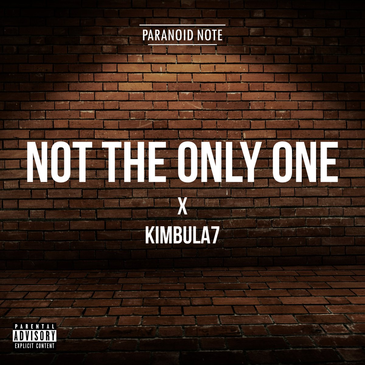 paranoid_note's tweet photo. Not The Only One X @Kimbula71  Dropping this Friday!
 21.02.2020 https://t.co/bWMDmICddI