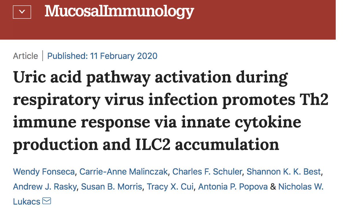 BenJMarsland's tweet image. 3. Fonseca from @lukacsLab @UMichPath  highlight uric acid as an important player in RSV induced immunopathology. rdcu.be/b1wTH