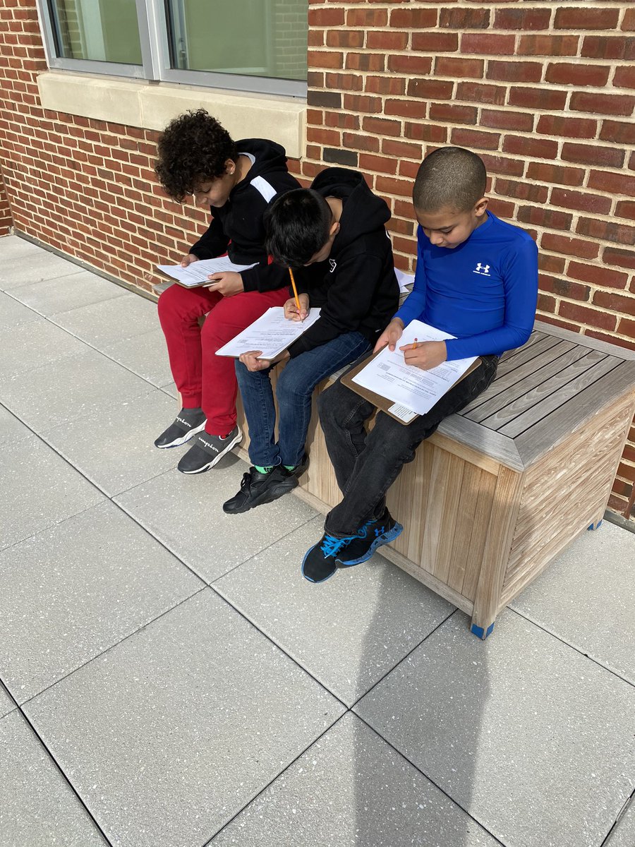 Mika Chappell tweet media