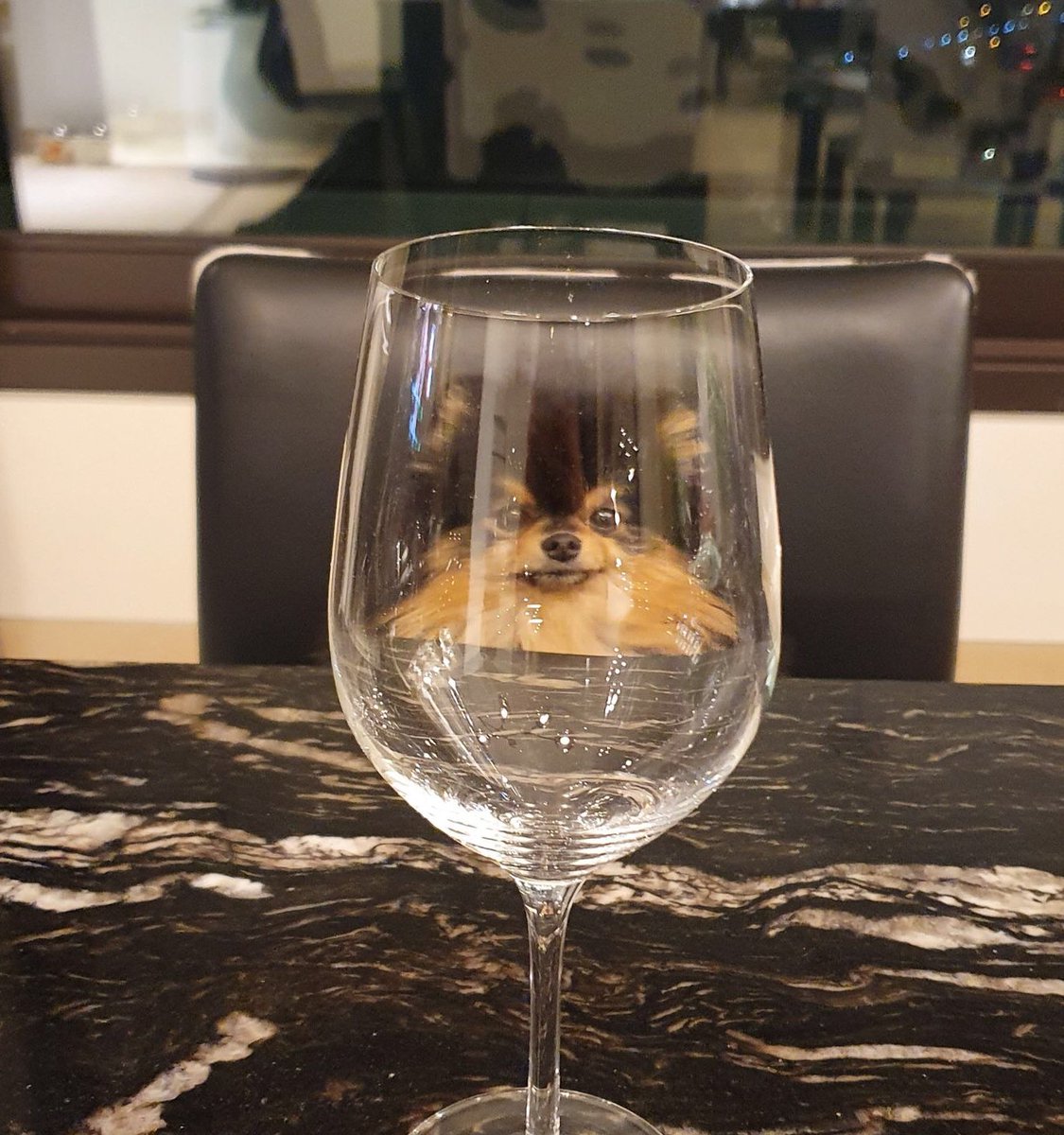 Both1011's tweet photo. Okay WINE GLASS challenge is ON ..😂😂😂

WINE Tan 🐶
WINE Suga 🐱
WINE Tae 🐯
WINE Jin 🐏

HOW about you ? Yes , You ! drop urs .. @BTS_twt https://t.co/vvCfYhoHaG