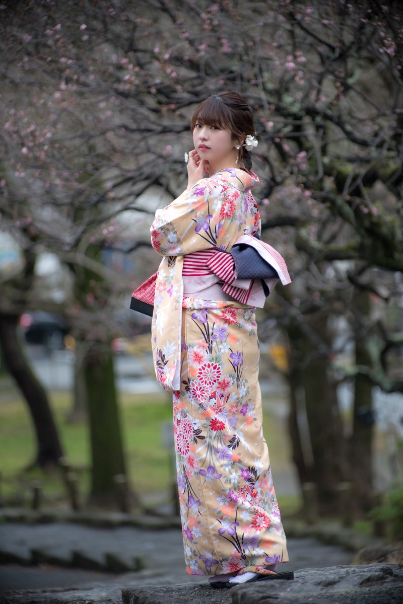 着物姿がめっちゃ素敵 Twitter Search