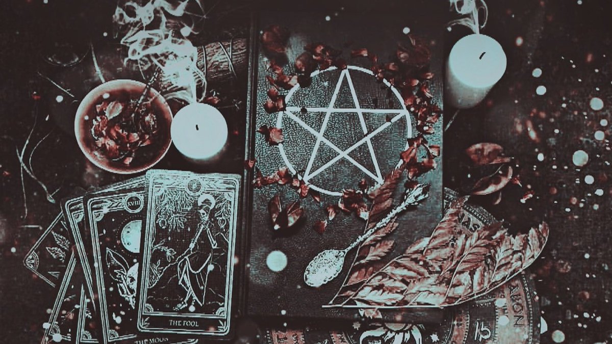 𝐊ayla; md. tweet media