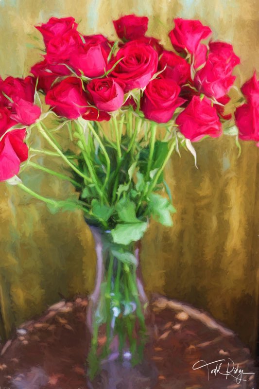 My grandmother loved roses and had a rose garden at our house in Virginia. I sure miss her. 
#photooftheday #flowerlovers #flowerart #flowerphotography #rosepaintings #floralart #roseart #gr8flowers #floralartprint #floraldesign #floralwatercolor #floralartwork #rosesart