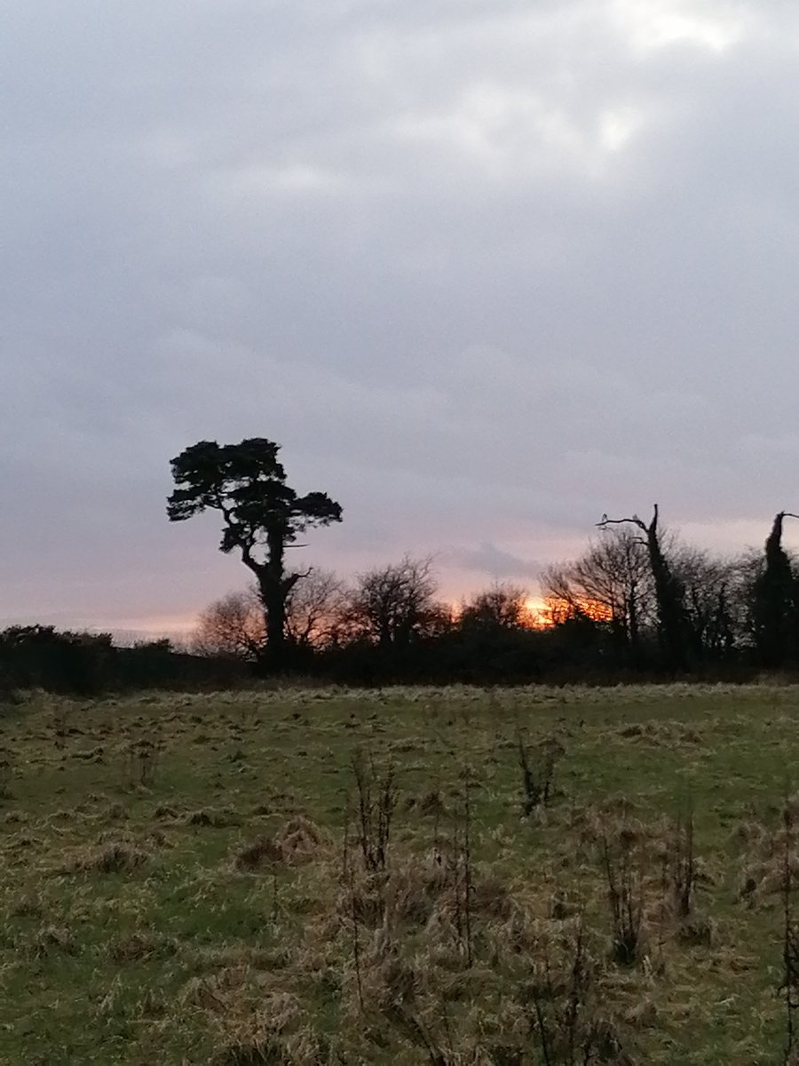 Irishshin's tweet photo. Day 49 #100daysofwalking  #100daysofwalkingincork https://t.co/7eHBaipsIr