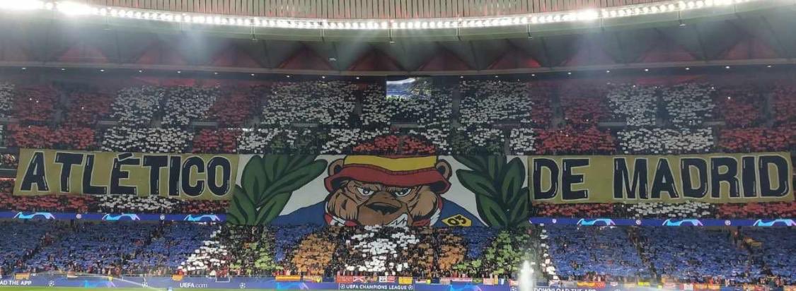 Mi vida...❤️🤍❤️