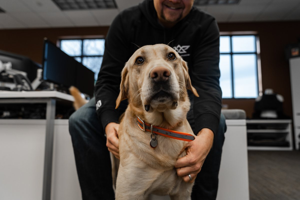 Angel Armor tweet media