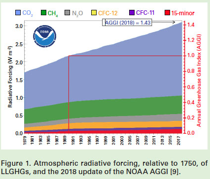 michael wadleigh tweet media
