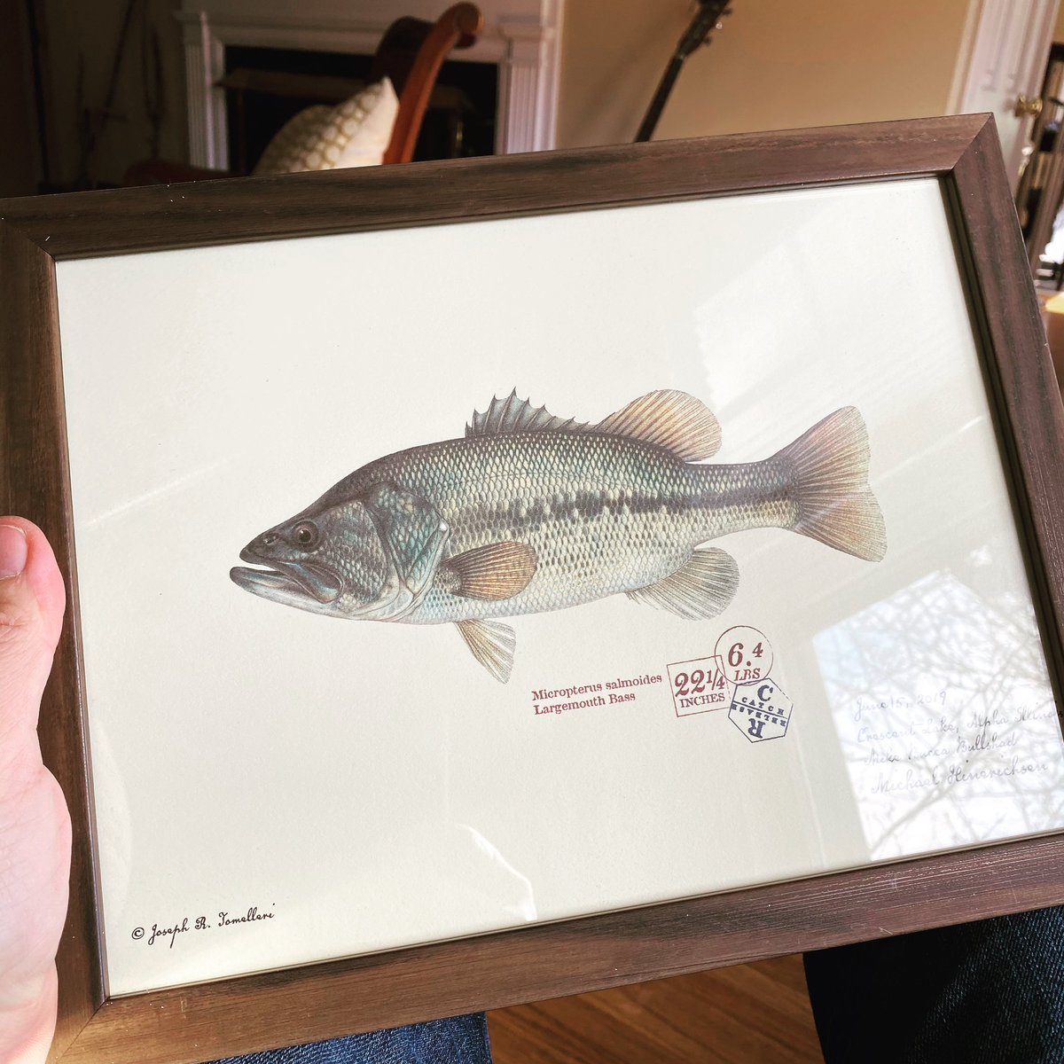 FishPrintShop's tweet photo. https://t.co/GLPIatXlqi