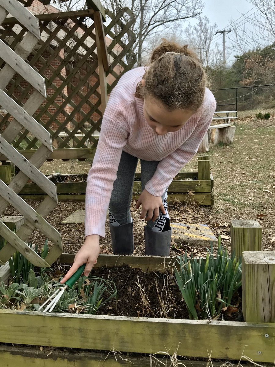 metsaalune's tweet photo. Finally nice enough to get the #falcongreenteam out in the Learning Garden weeding, raking, and getting ready for spring! https://t.co/Ql1ITZfhfc
