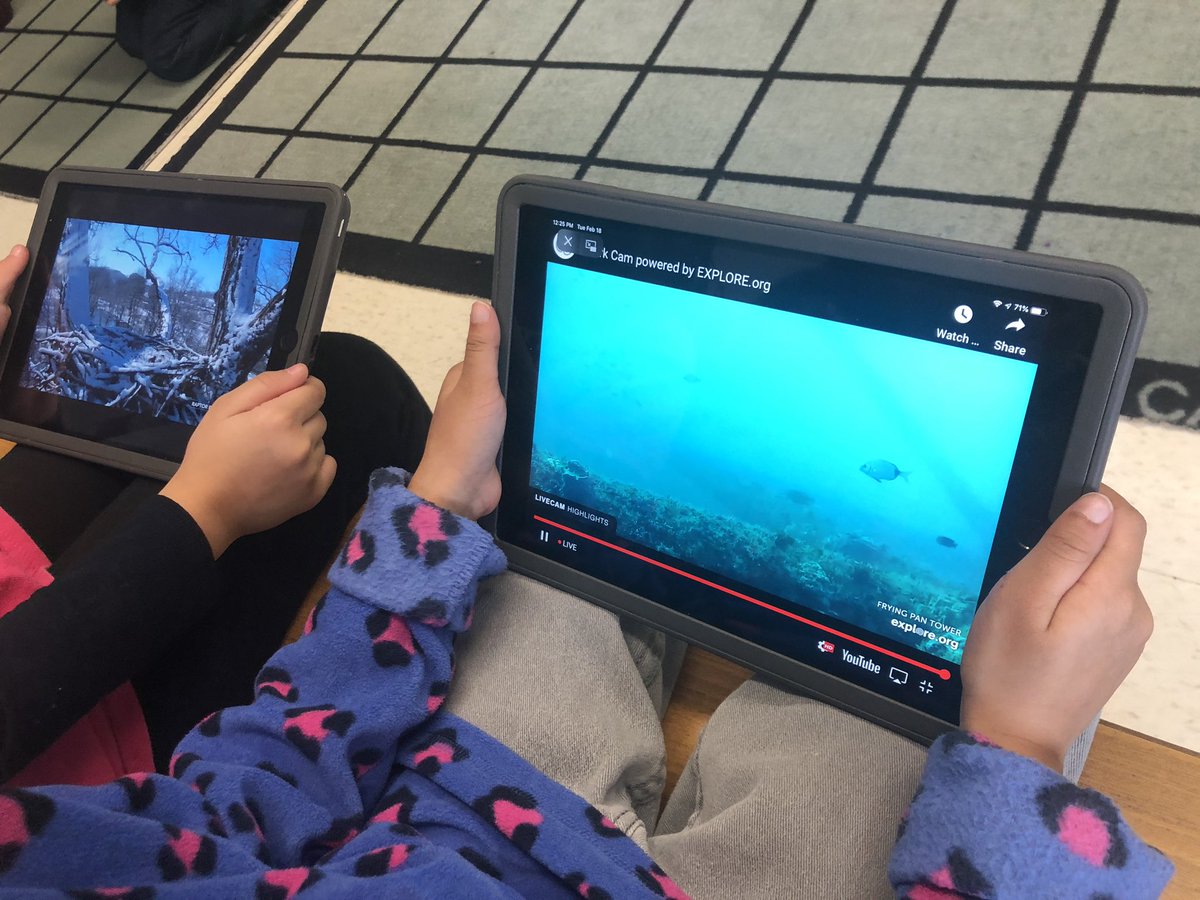 WigmoreTech's tweet photo. When a grade 1 class walks in talking about animals, you go on https://t.co/RzhPRftmHi to watch live animal 🦒 🦓 🐻 cams! #peel21st #1stgrade https://t.co/mudgurl5A1