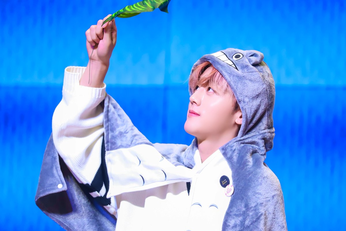 BeRingo1123's tweet photo. #SF9 #영빈 #YOUNGBIN #ヨンビン 
@SF9official https://t.co/bWJpgqC7oy