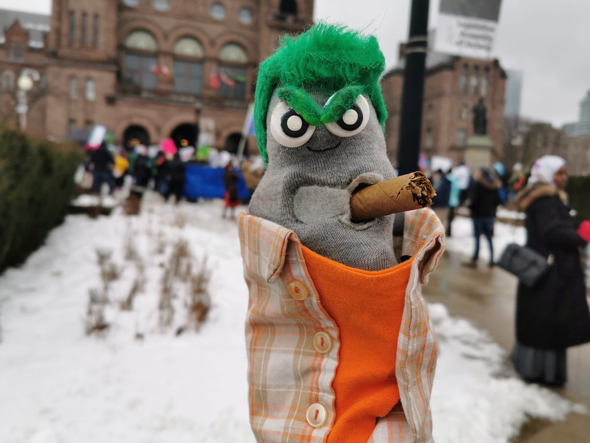 EdtheSock's tweet photo. Big turn out at the #AutismDoesntEndAtFord rally! Know who didn't show? @ToddSmithPC. Hope he didn't hit his head while hiding under his desk. Well, maybe I do.. might've knocked some sense into him. Or humanity.... Nah. https://t.co/yjSX3ROleF