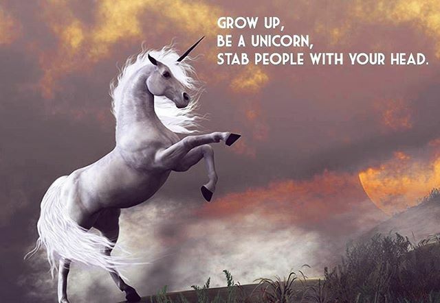 SpencerDay's tweet photo. I don’t know who needs to hear this, but.... I am Spencer Day and I approve this message. 🦄 #unicorn #tuesdaymotivation #photooftheday #stablegenius #unicornsofinstagram https://t.co/XfhWcmIuxW https://t.co/8fEtcNwszh