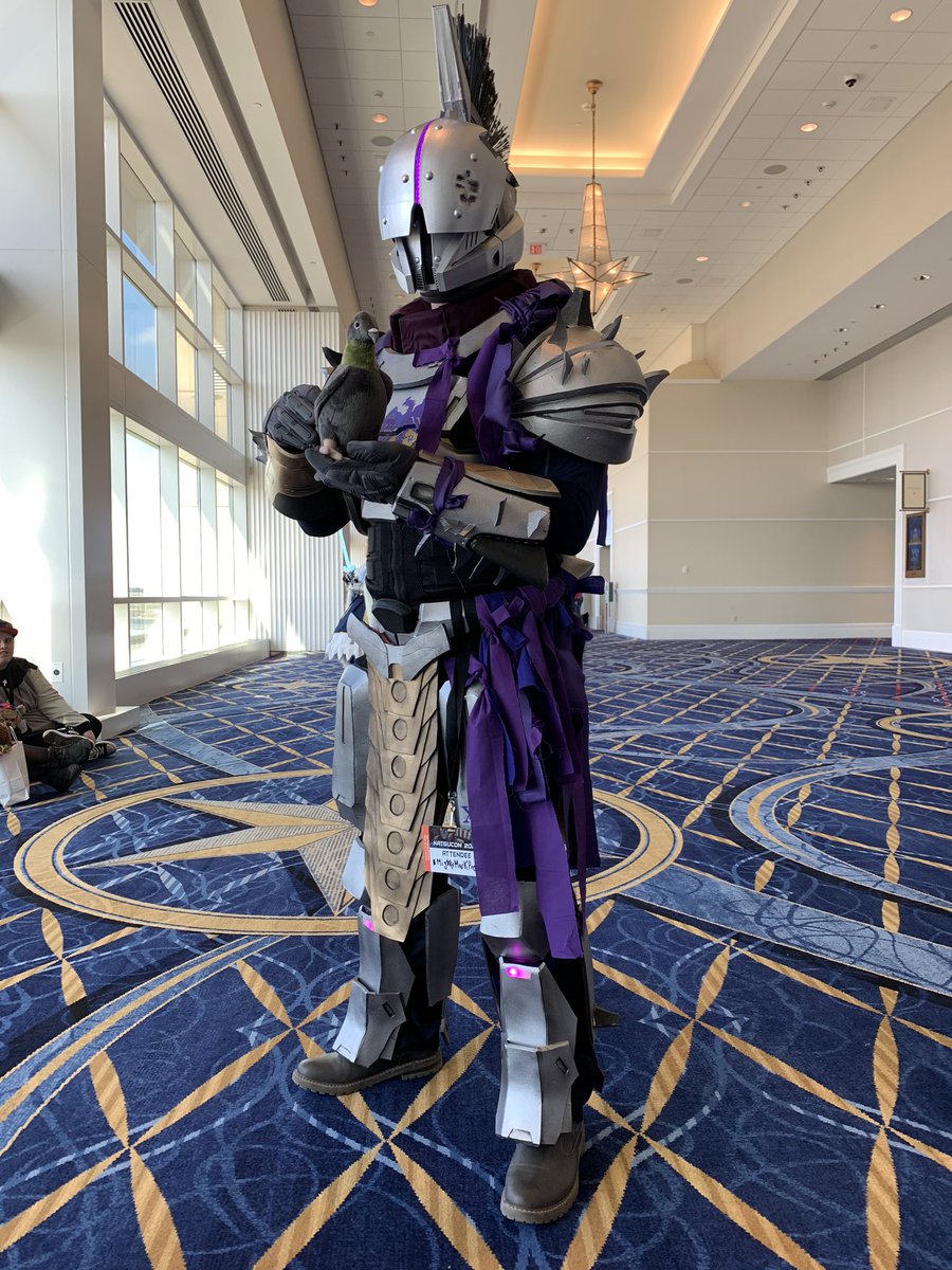 Mark Pafford tweet media