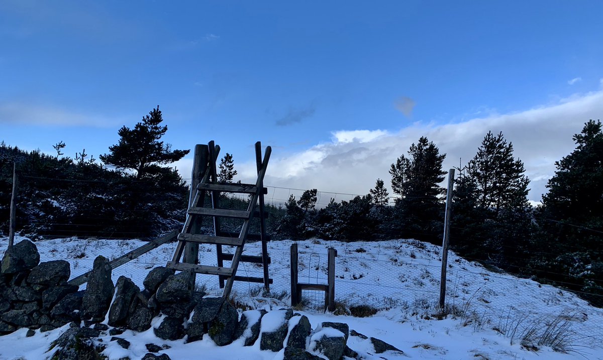 WindyWilson88's tweet photo. Not much weather chat the day guys. Same old. Same old. So decided to take the dogs up the hills
Fuk me. What a difference a “few hundred” feet make . . . Dry and calm in the car park. Blowing a hoolie up on the summit . . . But the dogs loved it
#GlenSherup #Innerdownie #Snow https://t.co/DDYqtk8hJe
