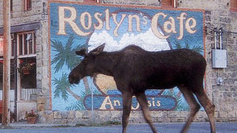 DaddelPapa's tweet image. ✈️ Ausgerechnet Alaska! - Day 8 ✈️ 
Now LIVE! 
#XPlane11 
#RWDesign 
#DHC6 
#TwinOtter 
@TwitchDE 
@GermanTwitchRT 
#GermanMediaRT 
twitch.tv/daddelpapalp