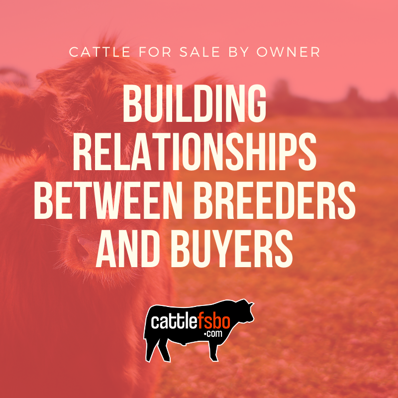 Our mission is to build relationships between breeders and buyers. #Goals What are some other benefits to selling off the farm? #Cattle #CattleForSale #CattleFSBO