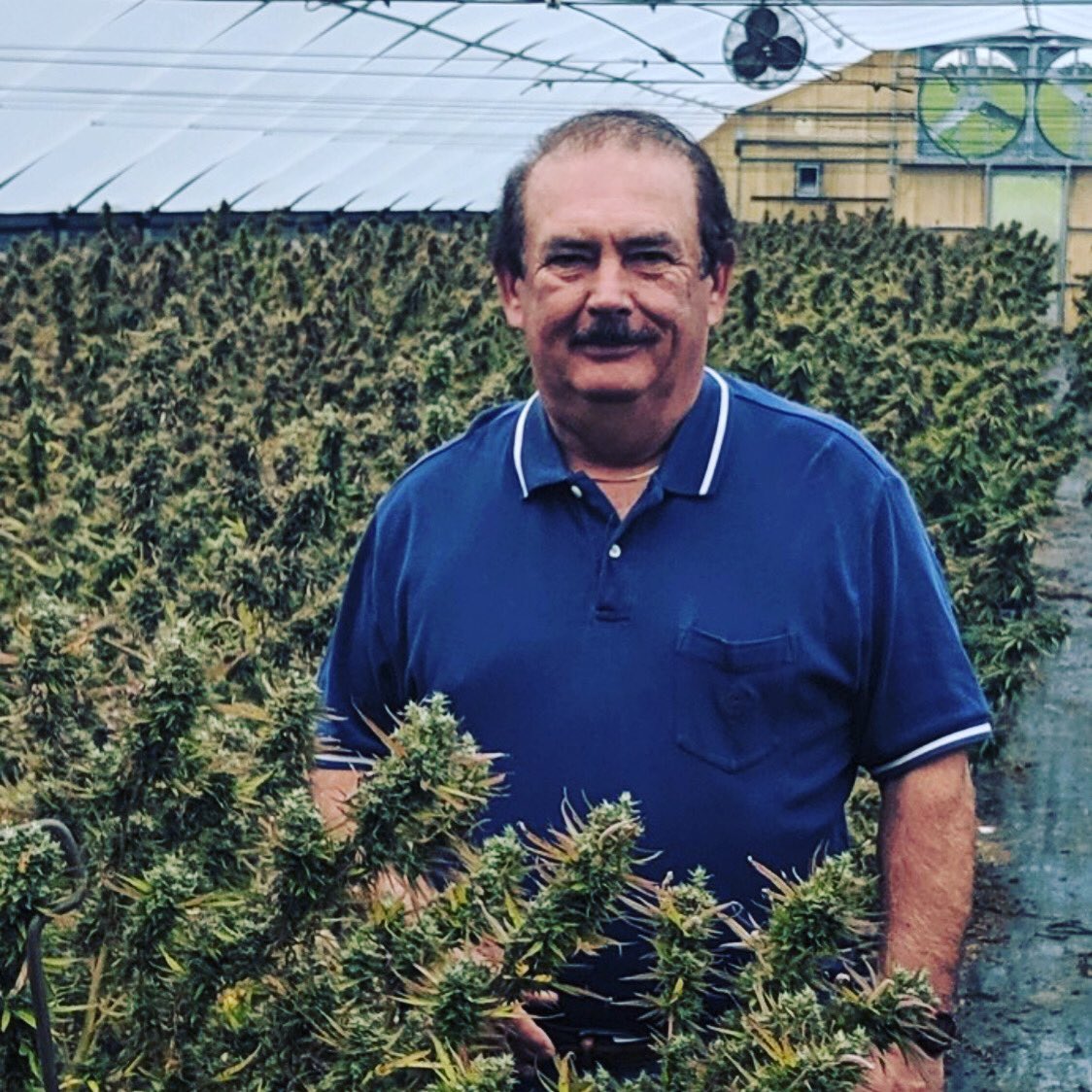bowmandrew54's tweet photo. Go check out the interview that we did with Mr. Walter Smith, candidate for N.C. commissioner of Agriculture, on the hemp industry here in N.C. Follow the link below to listen on Mr. Growman’s YouTube channel. Please like and subscribe!  https://t.co/xjbSu29Mjh https://t.co/frKsDLHteE