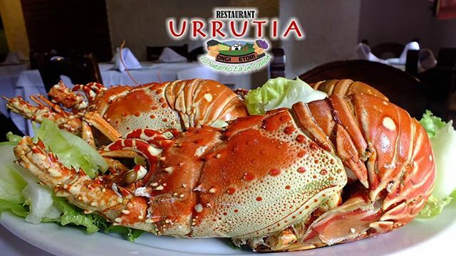 Recién llegadas del Mar y directo a tu mesa, pídela a tu gusto! 
Desde 1962 "Lo Nuestro es la Comida" 
#urrutia #langosta #Caracas #Gastronomía Recién llegadas del Mar y directo a tu mesa, pídela a tu gusto! 
Desde 1962 "Lo Nuestro es la Comida" 
#urrutia #langosta #Caracas …