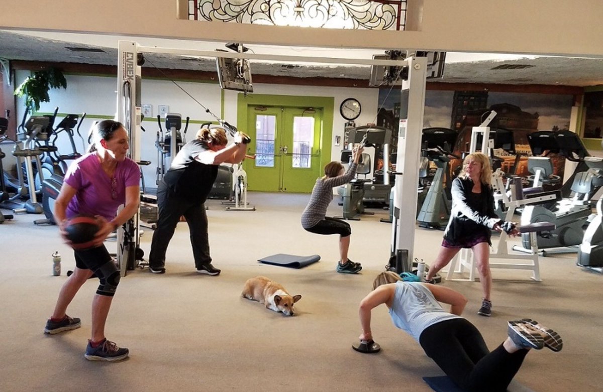 FlexGymShare's tweet photo. Flex Welcomes @MtnsEdgeFitness to the Platform - https://t.co/bnGqH9bokz
#workout #fitness #boulder #flexgymshare #tech #mobile #corgies https://t.co/xn5LDEh5vP