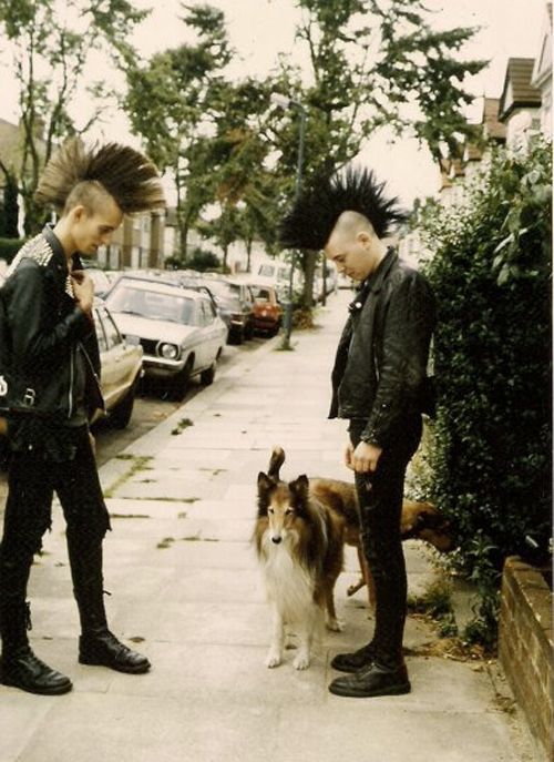 NewWaveAndPunk's tweet photo. Punks with dogs. https://t.co/fG2M1QpJB1