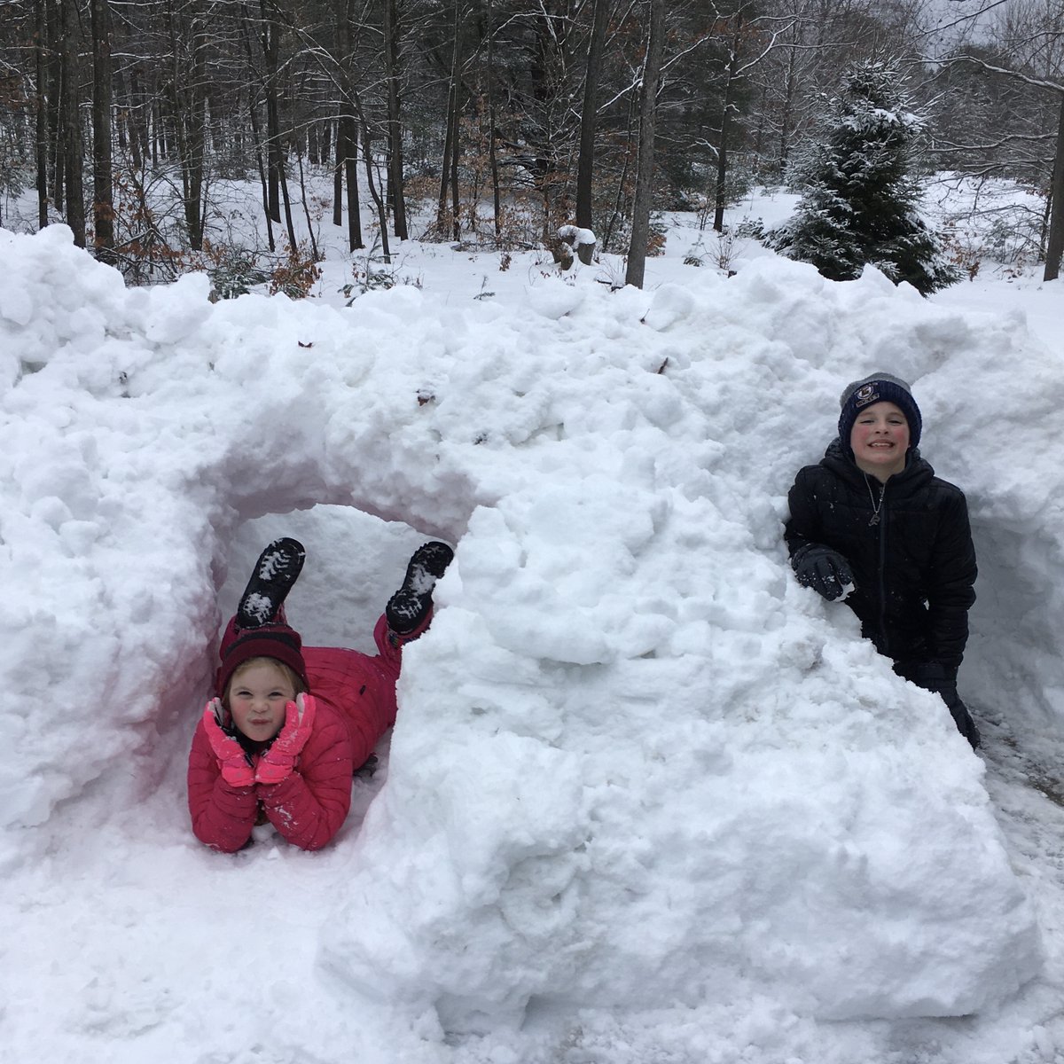 Vivi and Cousin Rex Finally done with Tunnels 2 and 3 at Grandma and Grandpa’s house. Fine work kiddos!