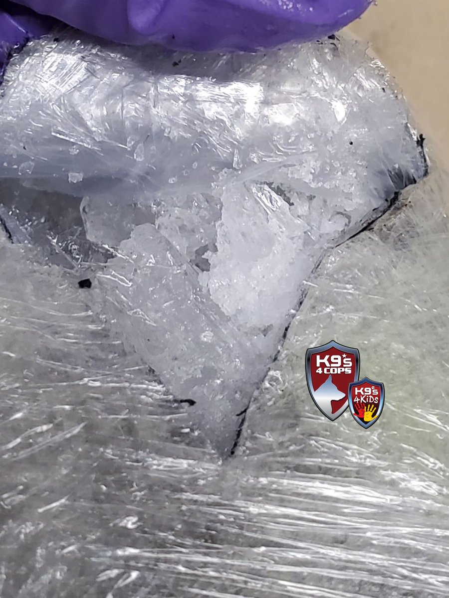 K9sOfficial's tweet photo. K9 Asha never stops sniffing!!! Look at this girl go!🤩 This week she found 6 kilos of cocaine with a seizure value of $150,000!
#K9Asha #K9s4COPs #K9s4KIDs #XtremeConcepts #iK9 https://t.co/0DERZ9rnw2