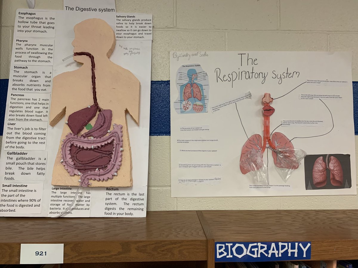Holmes1Et's tweet photo. Some wonderful creativity demonstrated by our 5th grade students in their Body Systems Projects. Posters, children’s books, and ever rap songs. Come by our Media Center to check them out! @FairviewES_NC @KellySThomas @MeltonsMagic @UCPS_MonroeNC @AGHoulihan https://t.co/AWfsZJ2pZA