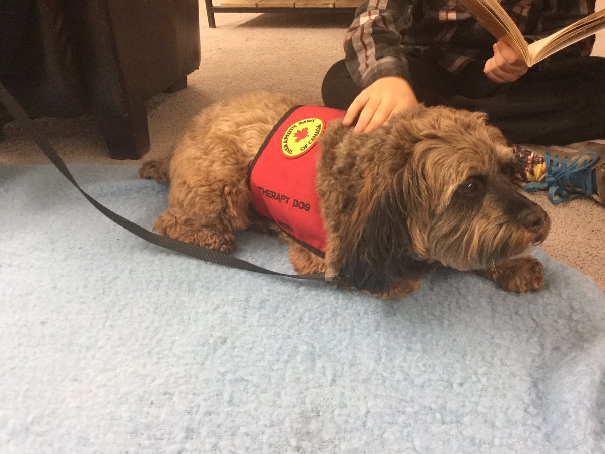 GiselleBlain's tweet photo. We love spending time with Nicky @GordonGraydon @TPOCBrampton @PeelSchools @ClimatePeel @DebbieDonsky ❤️ https://t.co/boHCwkXrWh