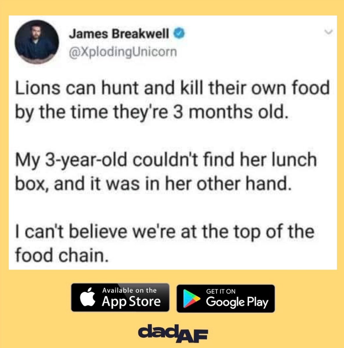 Got to love our little ones 😂
•
•
•
#dad #dadaf #dadlife #dads #lion #hunt #baby #child #toddler #lunchbox #lunch #smart #silly #forgetful #parenting #parentingproblems #toddlerproblems #parent #parenthood #gottolaugh #wearedadaf #dadyougotthis #lol #foodchain #topoffoodchain