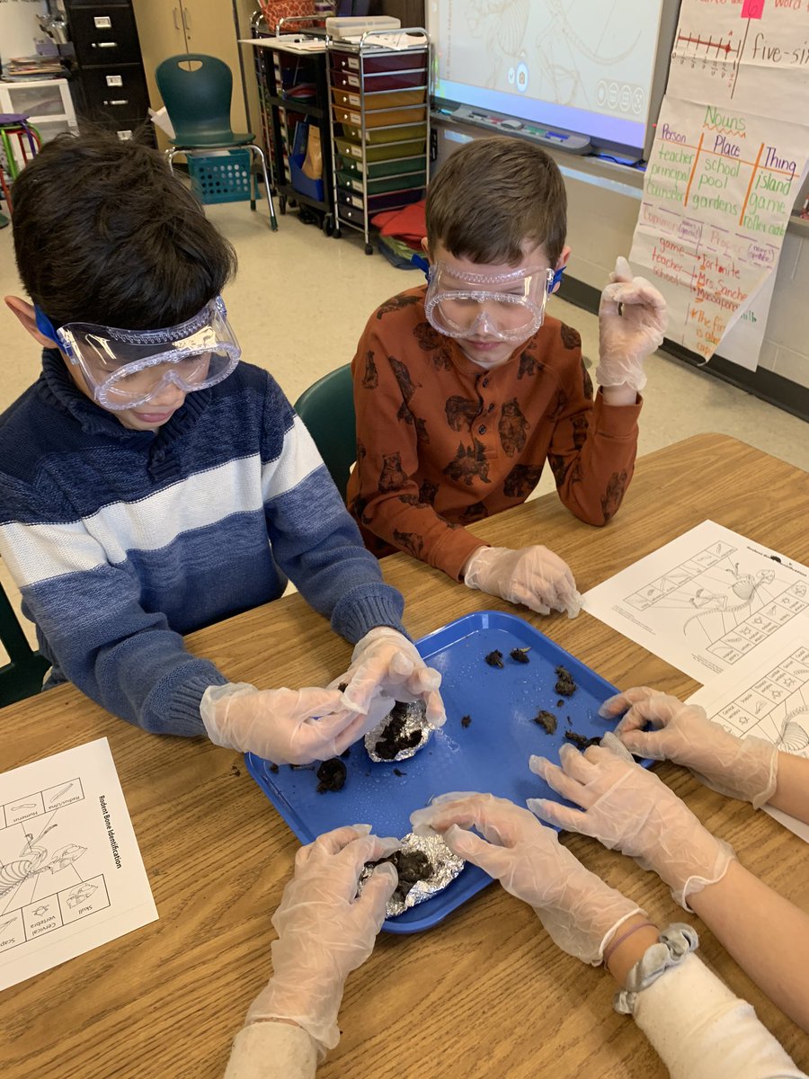 MrsSanchezCFES's tweet photo. 3rd graders had a hoot investigating owl pellets today! @CFES_Wolves @CedarForestES  @SpotsySchools https://t.co/PWiEu8U0U4