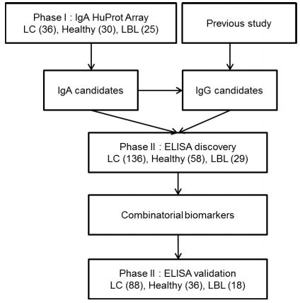 molcellprot's tweet photo. "Integration Of IgA and IgG Autoantigens Improves Performance Of #Biomarker Panels For Early Diagnosis Of Lung #Cancer" - #ELISA #HuProt
https://t.co/iv1SL9GGjQ
@HopkinsMedicine @JohnsHopkins @FNU1907 @cdi_labs @hopkinskimmel https://t.co/CUfzdcDgEB