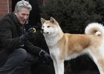 Hachi - Sempre ao Seu Lado