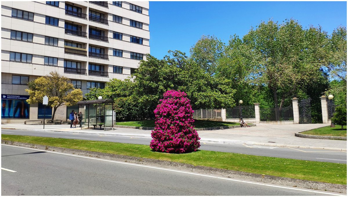 BlogBusurbano's tweet image. De la #Lín12, la #Par078 de la Ronda de Nelle ante la entrada del Parque de Santa Margarita quedará anulada, ya que, como bien apunta @AgradoOrzan, el 12 girará antes hacia la Avda. de Arteixo, dirección Ronda de Outeiro.