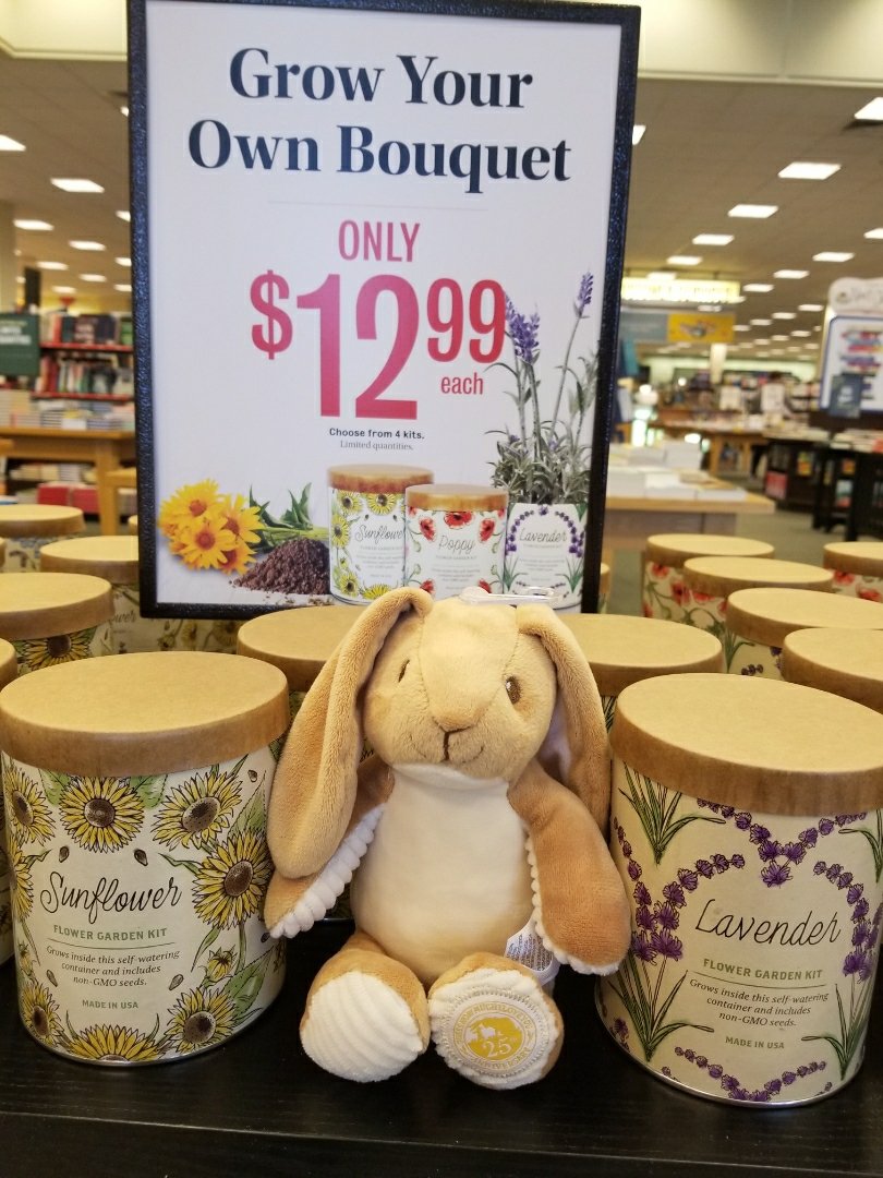 Barnes & Noble tweet media