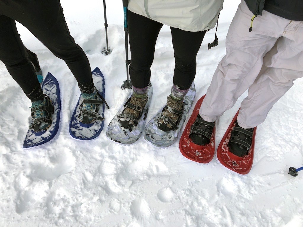 on Twitter "The Best Women's Snowshoes of 2020 https