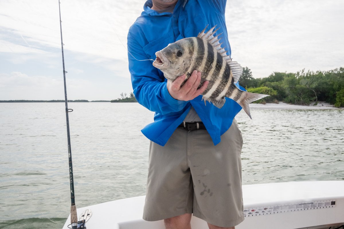 tampbaycaptain's tweet photo. There are plenty of fish in the sea, but this one's yours. https://t.co/AC0xG0YjVh