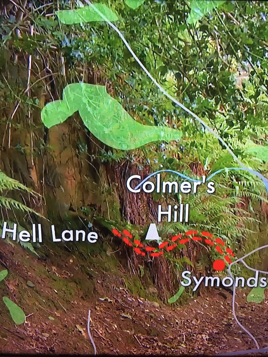 garden_dorset's tweet photo. Something a bit different from me, just watched  #BestWalksWithAView
Featuring Dorset 🌿
😮wow what a walk, will be doing that on a Summers day this year👊🏻#JurassicCoast  #Itv  @JuliaBradbury https://t.co/KQlWReV1Ec