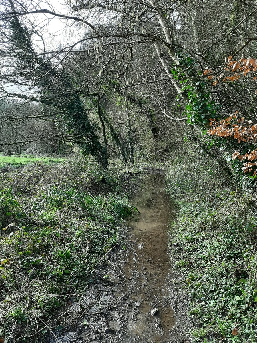 HoggLerryn's tweet photo. First run since going over on my ankle 3 weeks ago. Muddy 10+ miler with Jolly dog!
#running #dowhatyoulove #happy
#selfcare #runcornwall
π§οΈπ£ https://t.co/uCxoymFldL