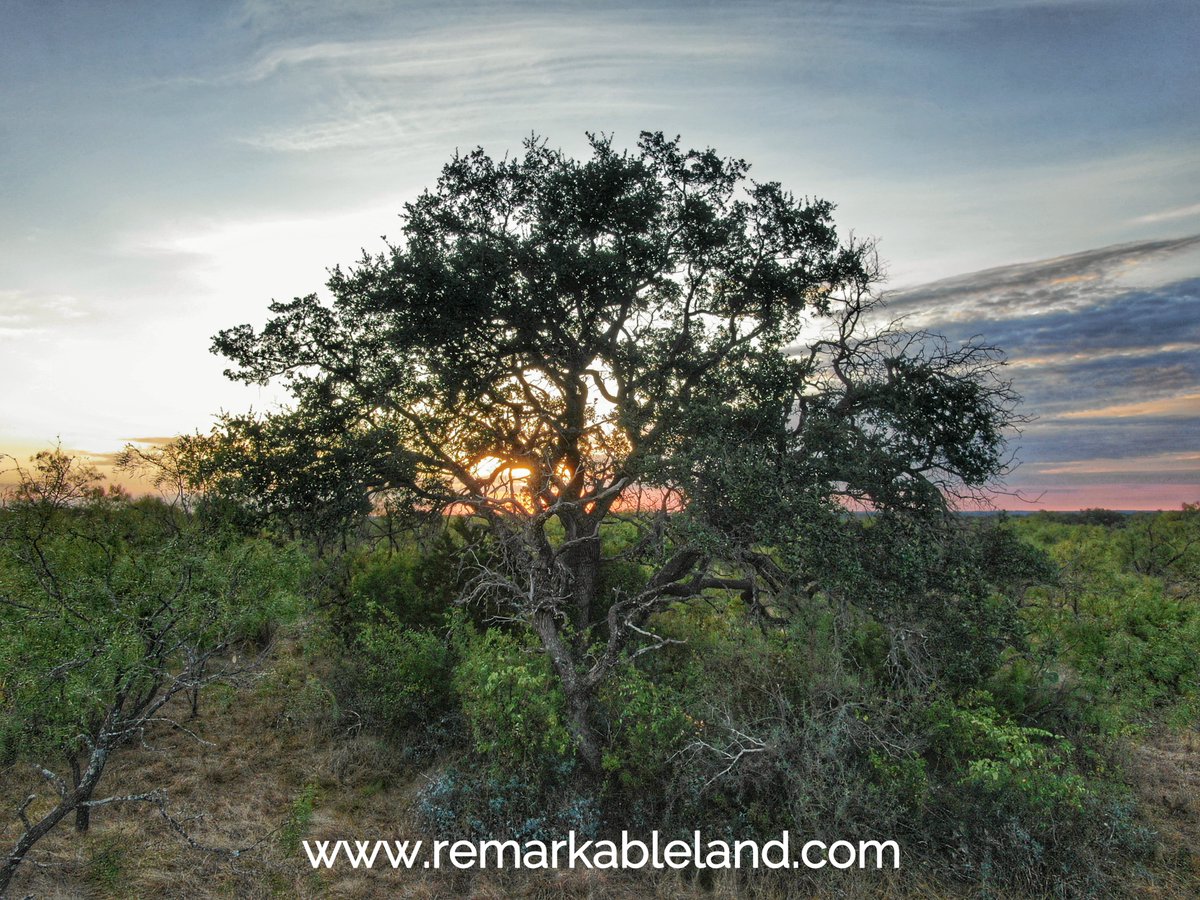 Remarkable Land is selling a 60-acre Hill County Getaway in Menard County, Texas near historic Fort McKavett and only 1-hour southeast of San Angelo, Texas.  For more information, photos, and maps, please visit our listing page:
remarkableland.com/property/tx-me…