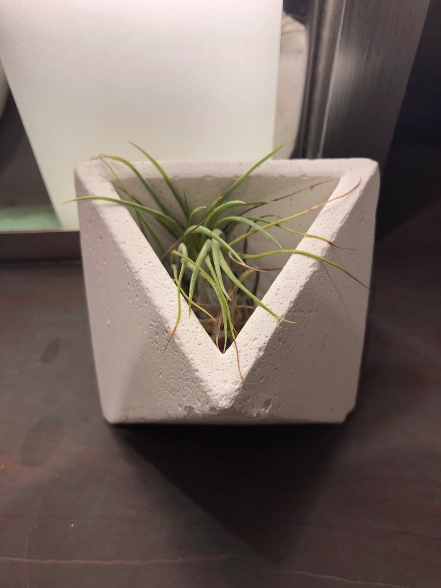 GoldbergBetsy's tweet photo. Such exquisite attention to detail at @FSToronto during my recent stay. A lovely bit of green in the bathroom. Cords thoughtfully coiled and held in place. A bookmark on the bedside table. Slippers laid out. Wonderful intuitive service! #VirtuosoTravel #luxuryhotels https://t.co/qEBwHMf5uF