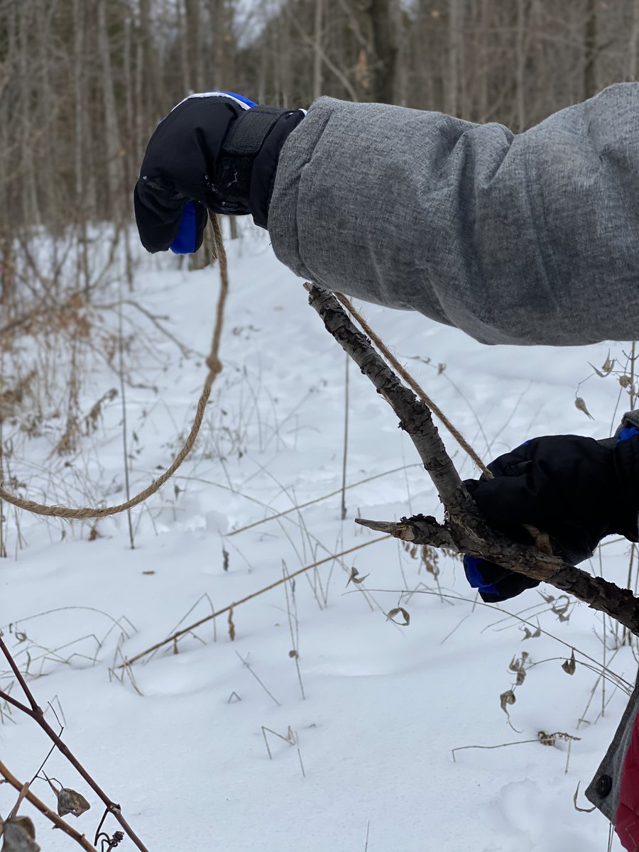 KaroubiG's tweet photo. Students in @MsSarahBates1 ’s class continue their measurement exploration outdoors.
@YRDSBmath @blackriverps @DianeCraven123 https://t.co/68VlqqHPo2