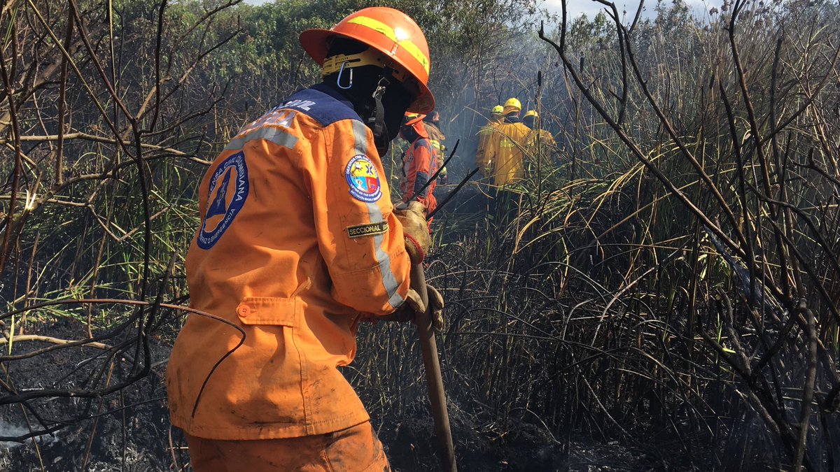 BomberosBogota's tweet photo. Bomberos de las estaciones Kennedy, Bosa, Candelaria y Fontibón, junto a brigadas forestales de Bomberos Voluntarios, Defensa Civil y Cruz Roja, controlan en un 90% un incendio forestal en el Humedal Tibanica. A la hora se hace control de puntos calientes y enfriamiento del lugar https://t.co/4NFMHjIph8