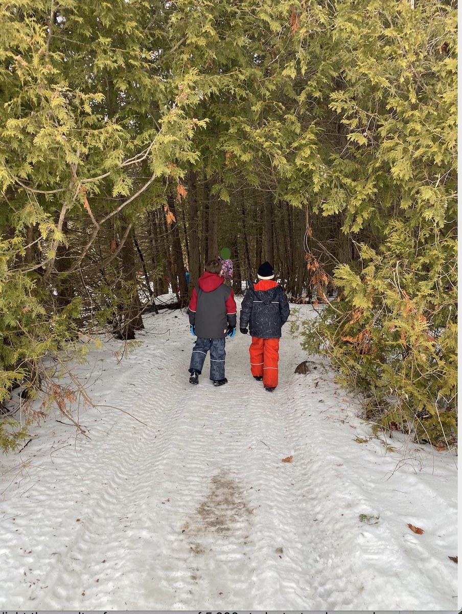 KaroubiG's tweet photo. Students in @MsSarahBates1 ’s class continue their measurement exploration outdoors.
@YRDSBmath @blackriverps @DianeCraven123 https://t.co/68VlqqHPo2