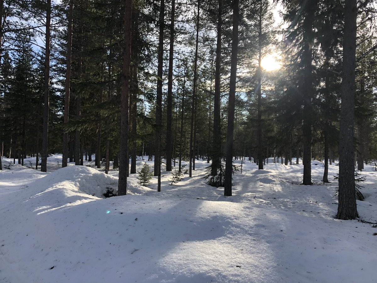 caskoglind's tweet photo. Friluftsdag med extra allt. Elever åk F-6 åker längdskidor 7 el 10 km. Äldre hjälper de yngre. Alla fixar det! Och sen god korv, bulle och solsken på det👌#Åsarna https://t.co/L4zhbg7OUG