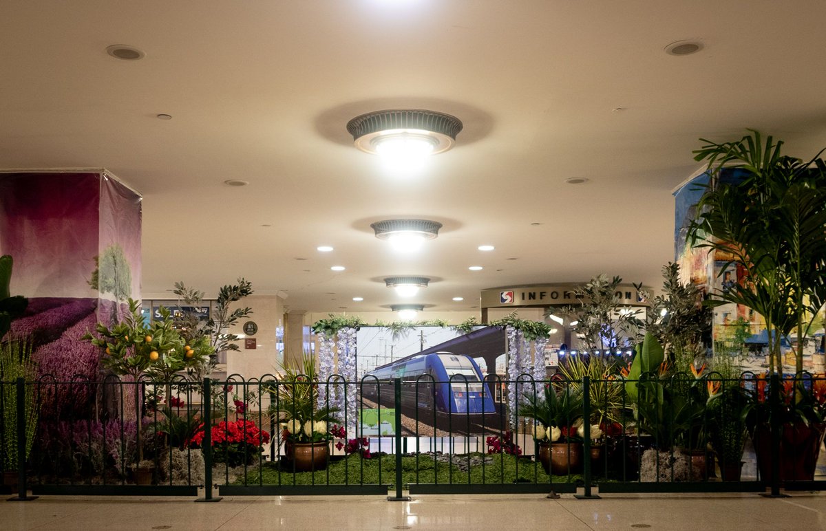 StationShops's tweet photo. 🌸s in the 🚈 station! Vote for our @PhilaFlowerShow display! https://t.co/6VmHqQTir1 https://t.co/ToI5sUmYO3