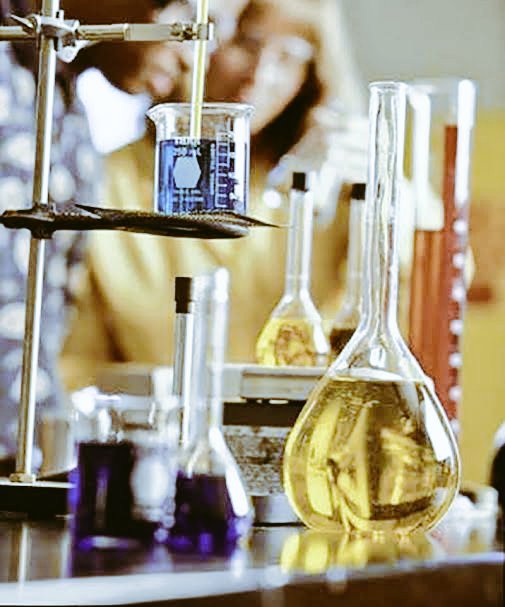 MercyAlmasi's tweet photo. There are some reported cases about the use of #transformer oil for cooking....
The transformer oil is not edible oil because they contain #polychlorinated diphenyls (PCBs) which are toxic and causes cancer... https://t.co/WPFISwyaHq